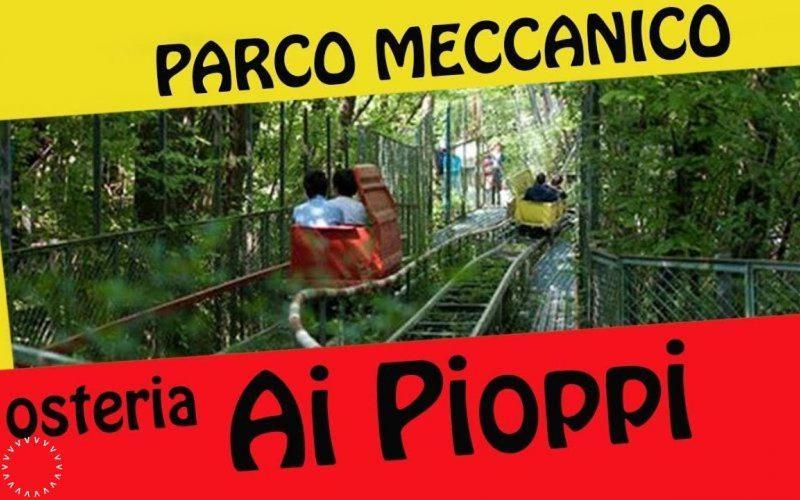 Alojamento de Acomodação e Pequeno-almoço Fior Di Robinia